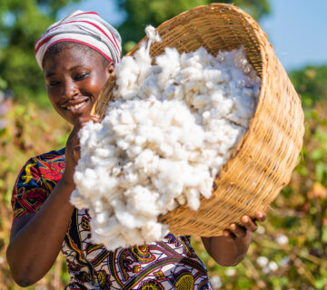 213970339165001642423254 360x320