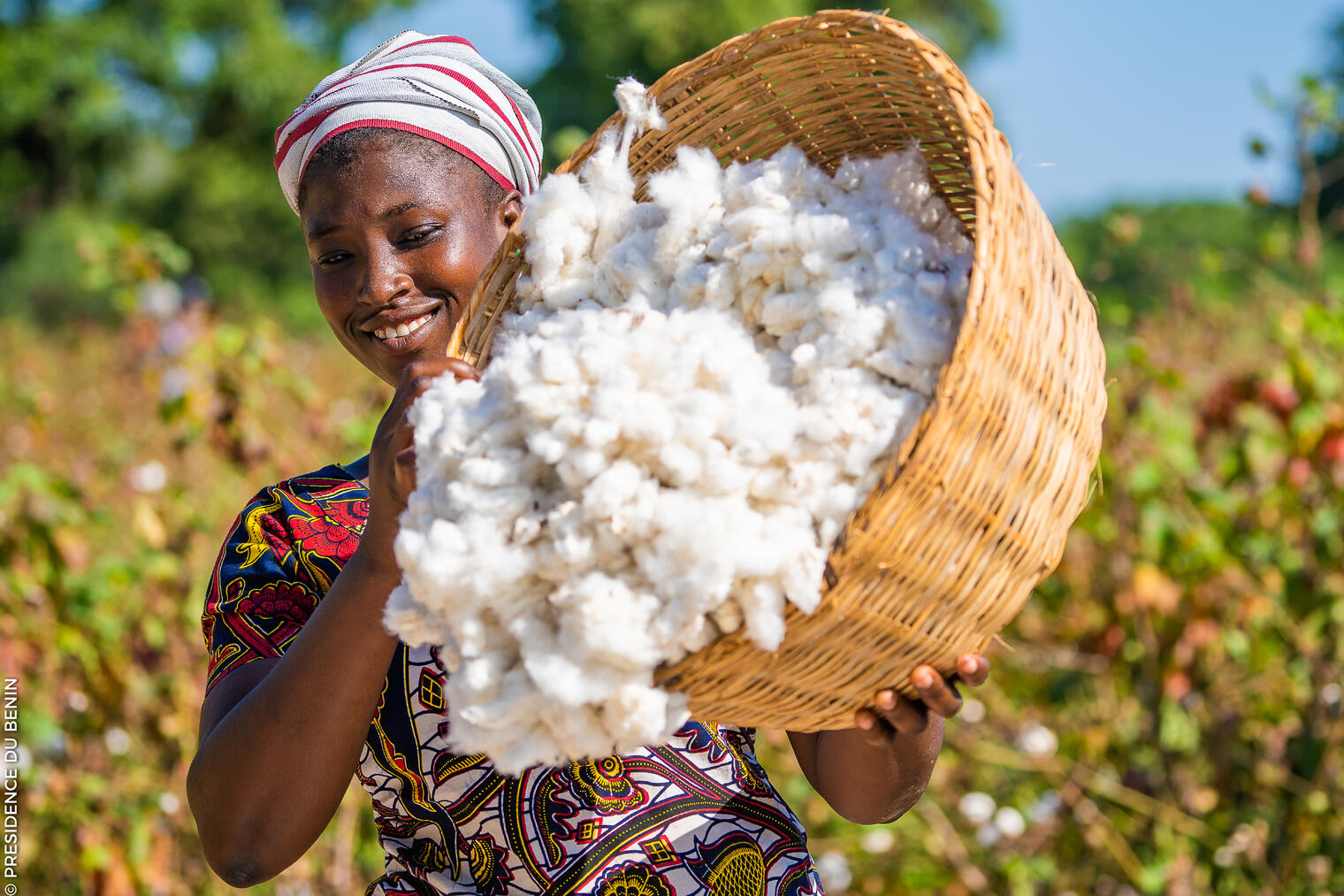 213970339165001642423254