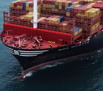 MSC DILETTE Cover 360x320