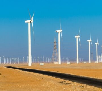 999b3610 b504 44cf b79d 126d44754f08 c 360x320