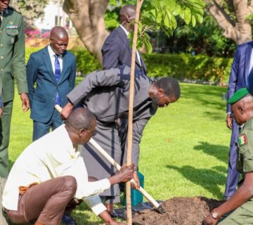 WhatsApp Image 2025 07 17 a 10 28 45 5e432f2b 360x320