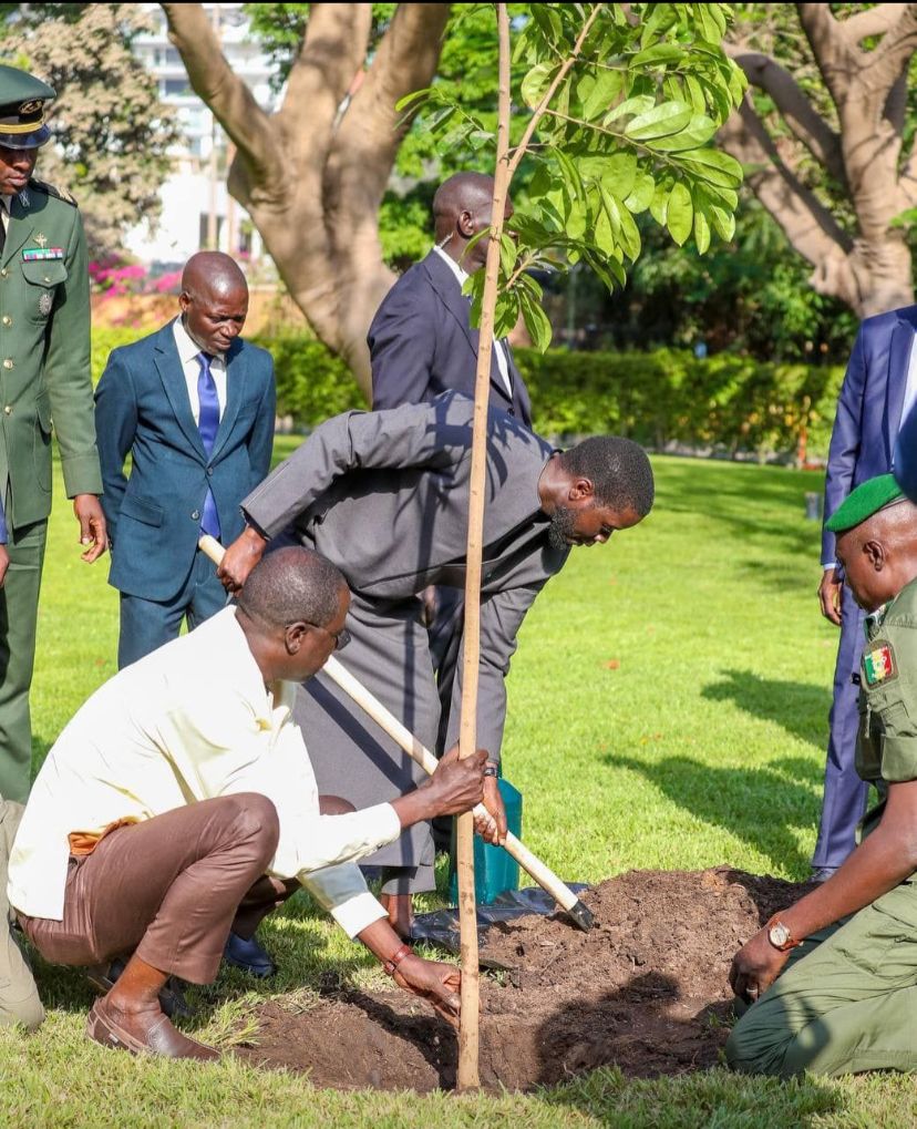 WhatsApp Image 2025 07 17 a 10 28 45 5e432f2b