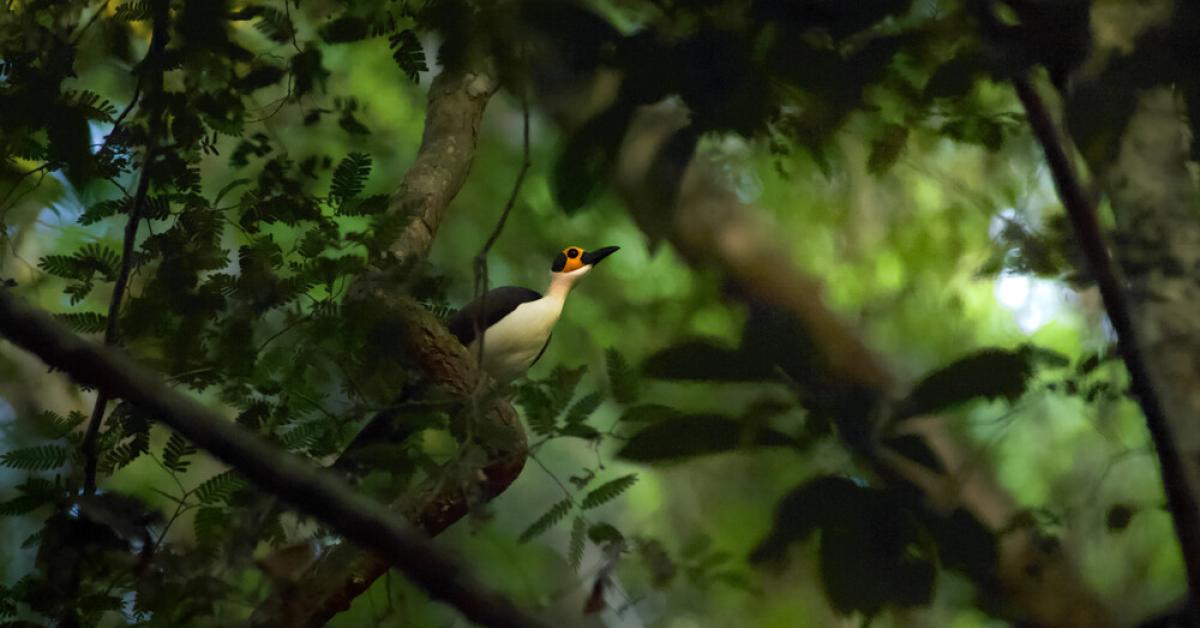 Site 1746 0001 1000 667 20250616142139