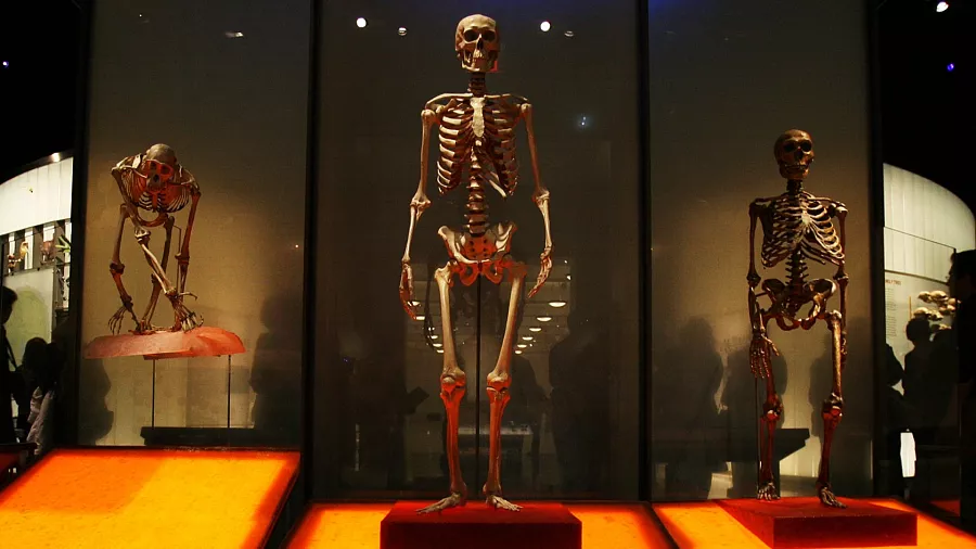 900x506 cmsv2 647e5956 3bbc 5acd 828d 2876b0dbe0a7 9425128