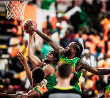 Awcxqjnmsrsqbla5z1qv 360x320