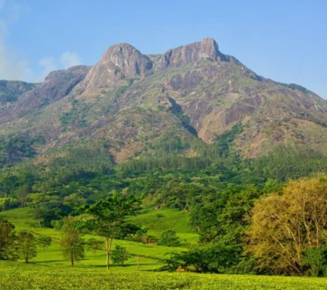 Sapvx0gmjxrwh1ese2pc 360x320