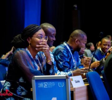 1000128252 1200x800 1 360x320