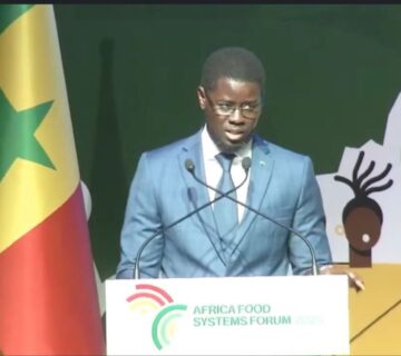 WhatsApp Image 2025 09 01 at 11 40 29 360x320