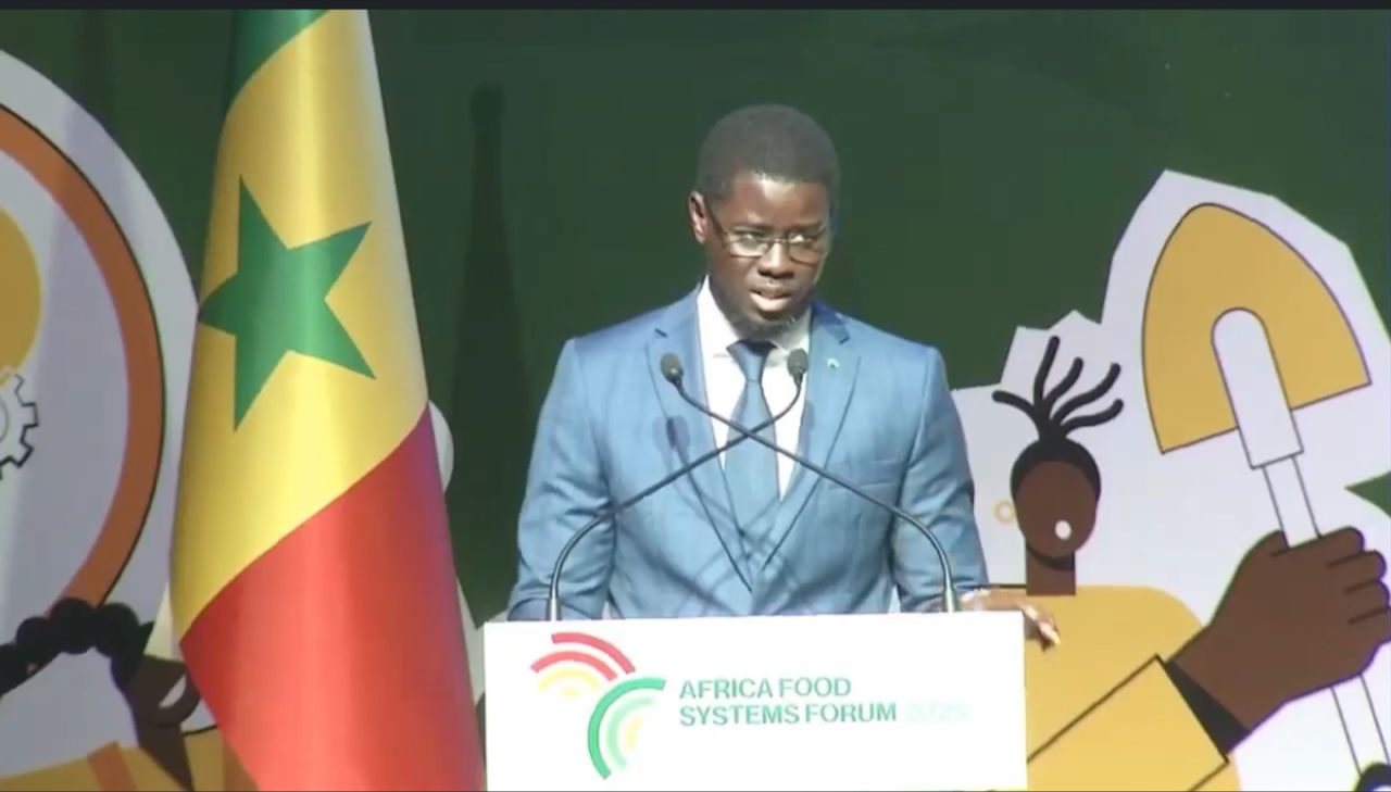 WhatsApp Image 2025 09 01 at 11 40 29