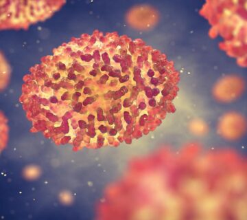 Vis 0525202215200499 360x320