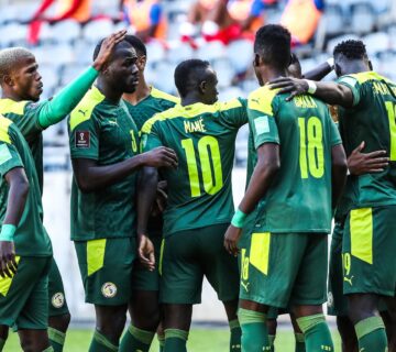 Icon 63018761 scaled 1 360x320