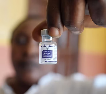 900x506 cmsv2 0dfb55b1 325a 5d23 9e2b 300d2034754c 9546513 360x320