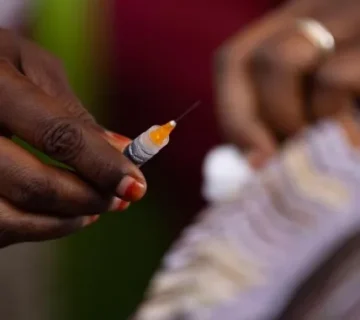 IMG 20251123 231248 700 x 380 pixel 360x320