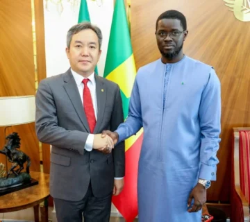 IMG 3742 1200x854 jpeg 360x320