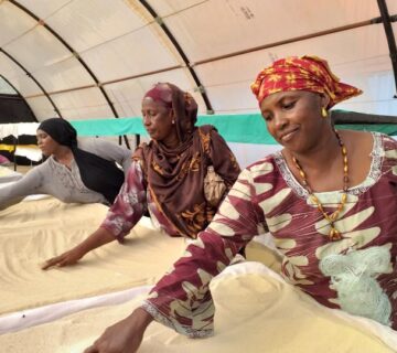 594586390 122155735496844061 4653603985939188002 n 360x320