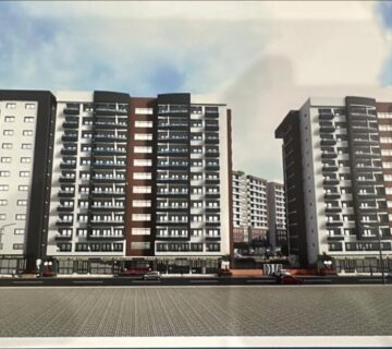 595454043 1249346847242612 314506990386291384 n 360x320