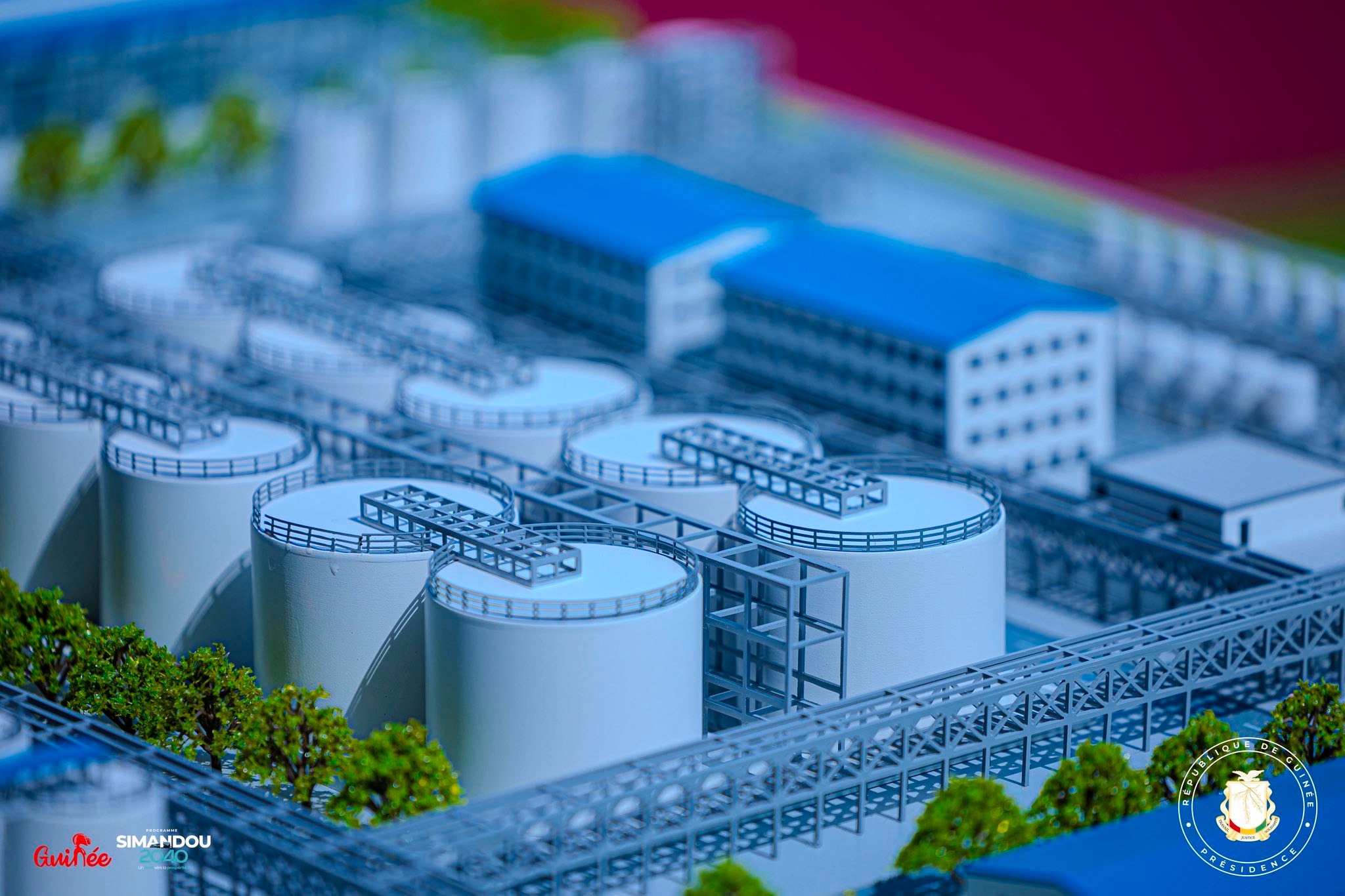 598478302 1296950132467234 6588130686706711479 n