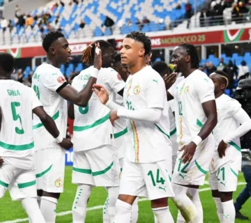 IMG 20251223 WA0217 jpg 360x320