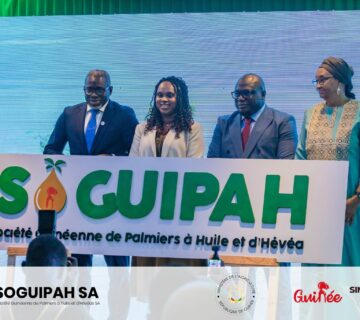 616316186 1228187889411362 4897758607638392728 n 360x320