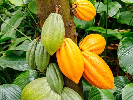 61675 2214333452379838115 n