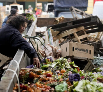 AP23244554700834 360x320