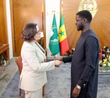 FB IMG 1769035177616 1200x852 jpg 360x320