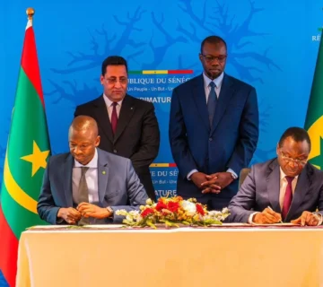 IMG 20260108 WA0250 360x320