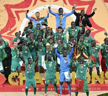 MjAyNjAxNzFkM2FmMjZjOGRiZjY3MThiNTY4MmZhZWNhZGRlZDM 360x320