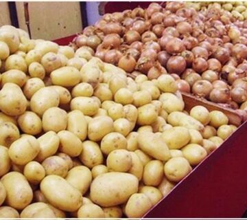 Oignon pommedeterre 360x320