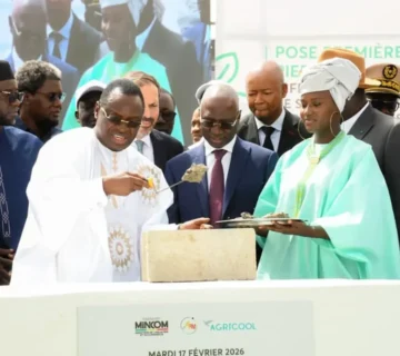 1 IMAGE 1 1200x797 1 360x320