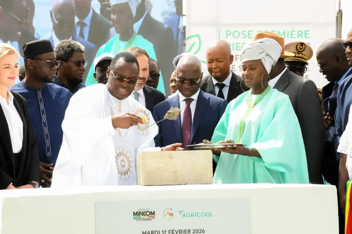 1 IMAGE 1 1200x797 1