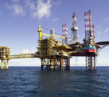 80748072 58235385 360x320