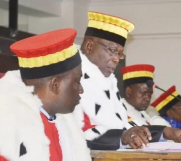 Screenshot 20260219 172346 Lite 1029x641 1 360x320