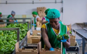 Transformation agricole 360x225