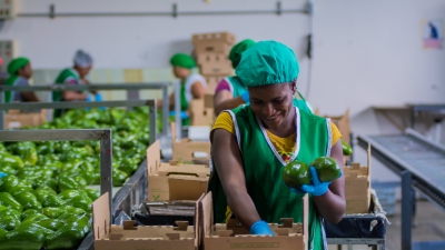 Transformation agricole