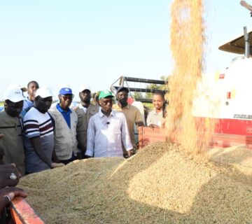 WhatsApp Image 2025 11 27 at 16 27 28 360x320