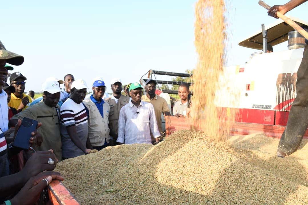 WhatsApp Image 2025 11 27 at 16 27 28