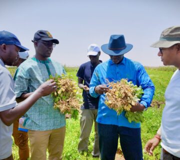 Viste dg semence5 scaled 1 360x320