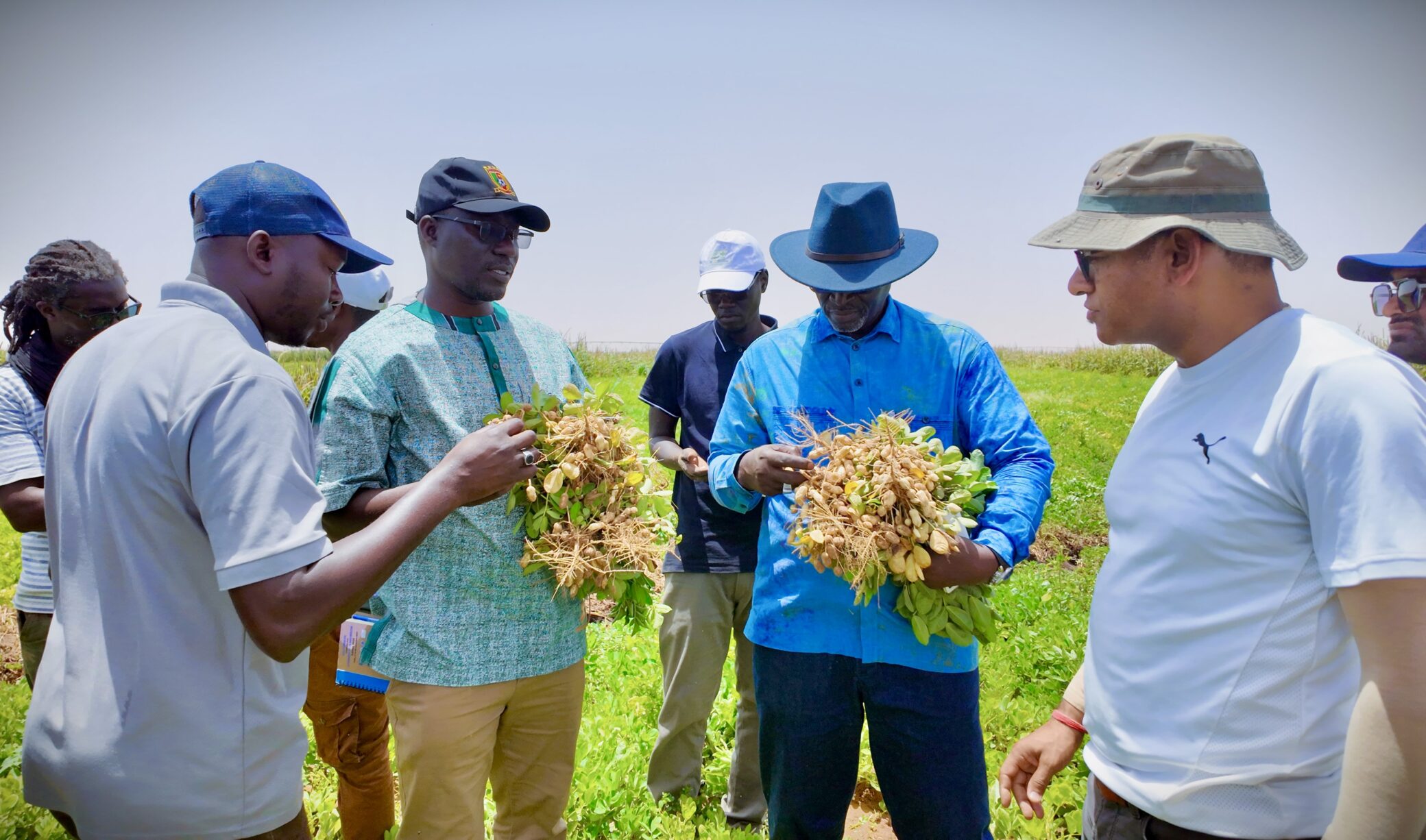 Viste dg semence5 scaled 1