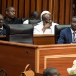 Sénégal : l’Assemblée nationale adopte une loi durcissant les sanctions contre les relations homosexuelles 