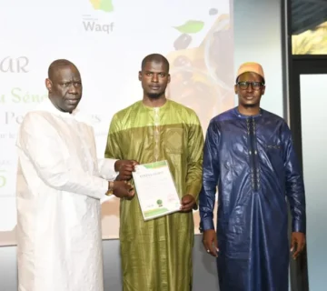 IMG 9743 1200x800 1 360x320