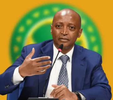 Thumb 1260x800 69bb139636626 lIsjQJmPTp 360x320