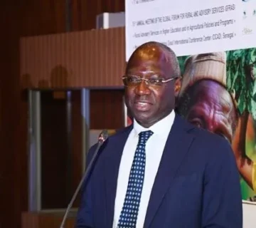 Ministre de lAgriculture Mabouba Diagne a Diamniadio e1762930211791 360x320