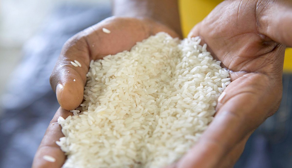 Prix du Riz au Senegal Hausse Prix du Riz Baisse Prix du Riz Hausse Prix du Riz au Senegal Baisse Prix du Riz au Senegal