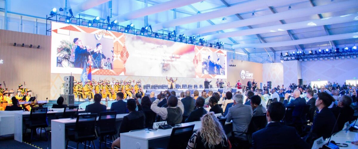 COP17 : la Guinée plaide pour une restauration durable des terres africaines