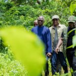 Boké : 24 000 hectares mobilisés pour moderniser l’élevage guinéen 
