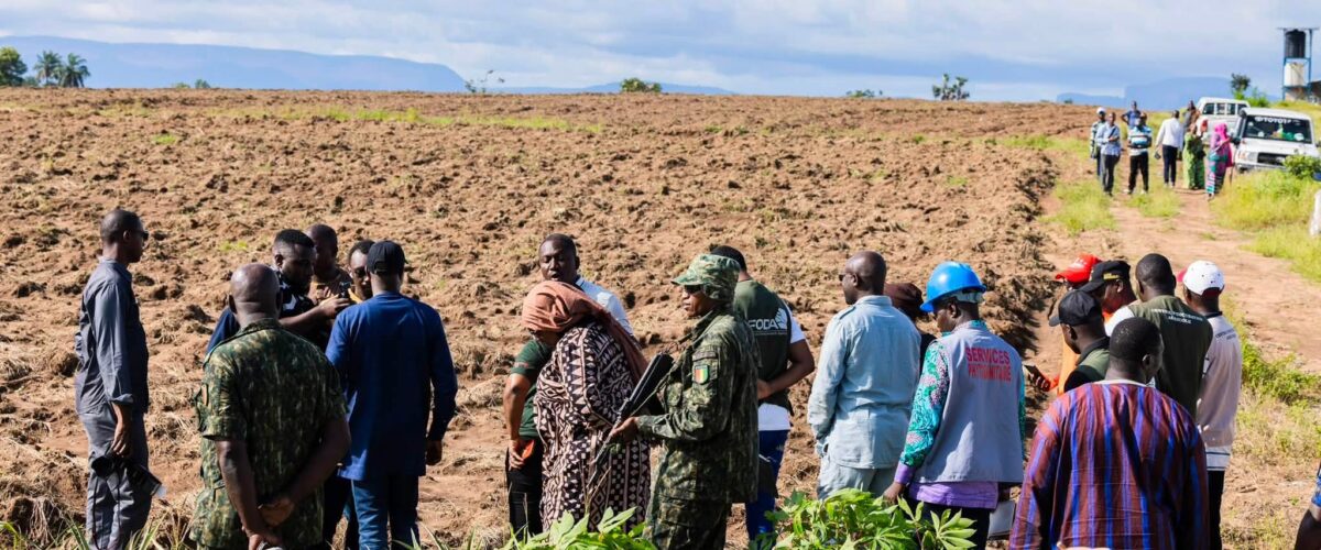 Forécariah : le ministère de l’Agriculture prépare un projet de développement du maraîchage à Salguidia 