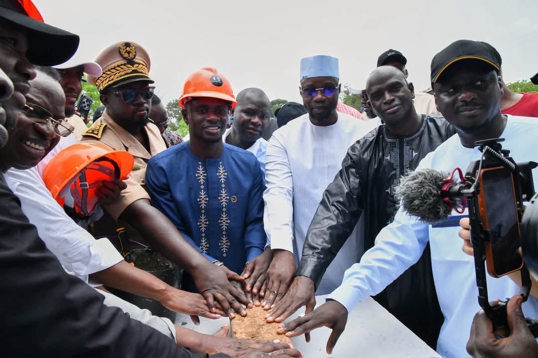 IMG 8423