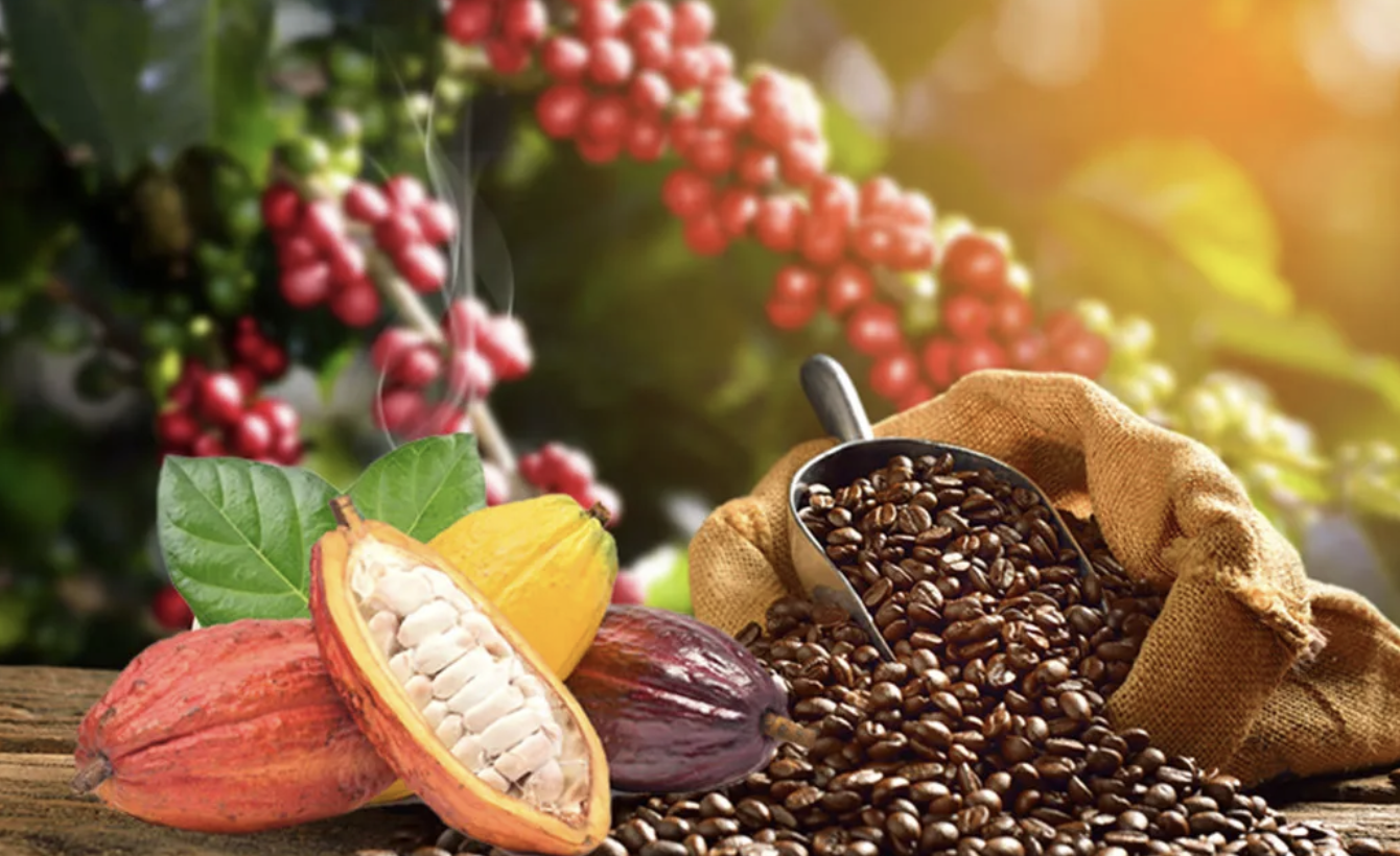 Cafe cacao