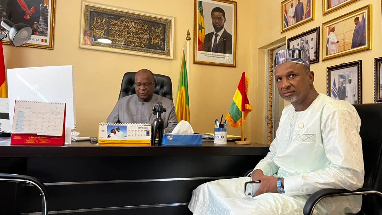Diarouga
